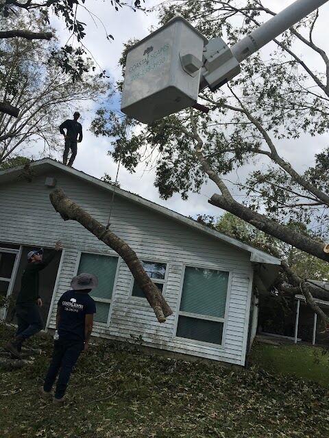 Coastal Scapes LLC. - Tree Services, Ocean Springs