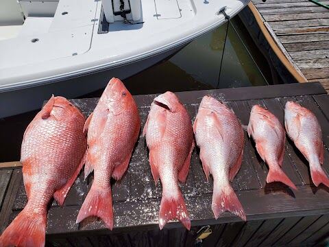 Knotty Fishing Charters, Ocean Springs
