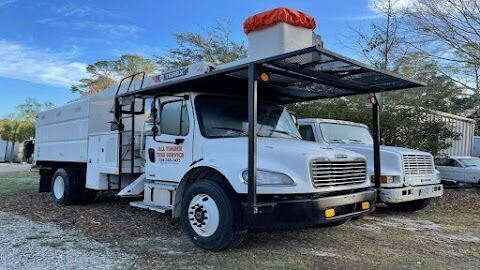 All Timber Tree Service LLC, Ocean Springs