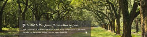 Cambium Tree Care & Preservation, Inc., Ocean Springs