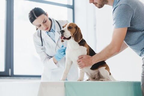 Bayview Pet Medical and Dental Center, Ocean Springs