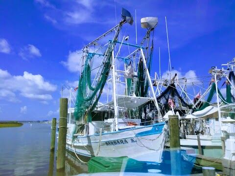 Shearwater Park, Ocean Springs