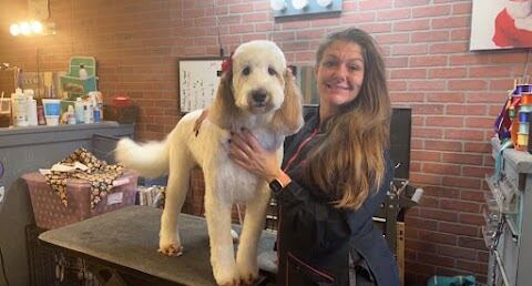 Platinum Petz, LLP, Ocean Springs