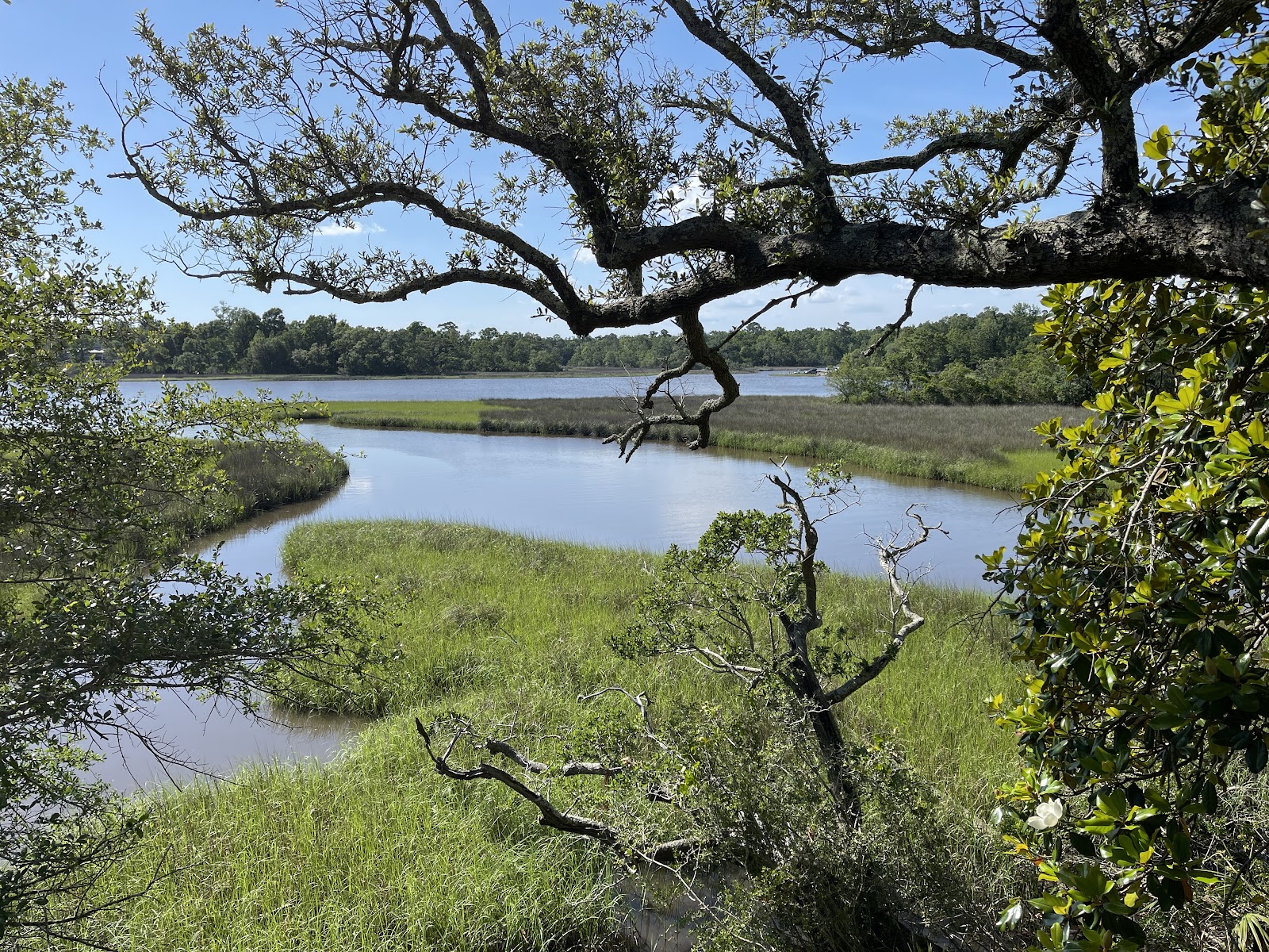 Davis Bayou, Gulf Islands National Seashore.